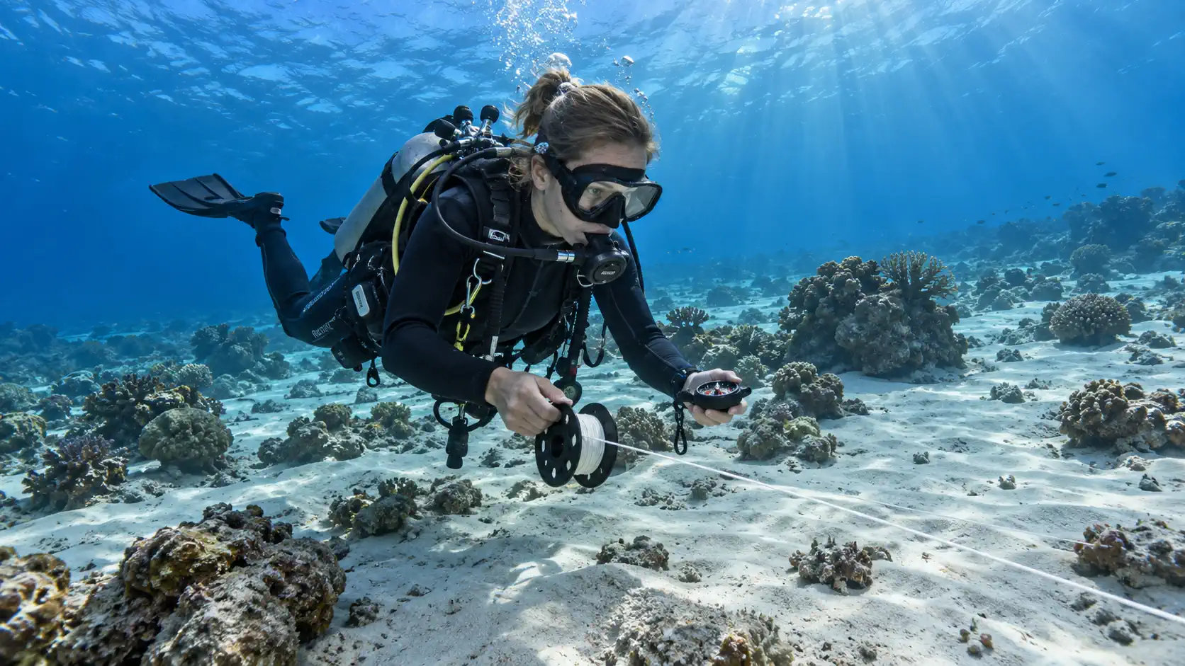 Wet spot scuba dauin search and recovery 1 -Wet Spot Scuba Diving Dauin Philippines