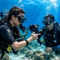 Dauin Macro Diving Guide