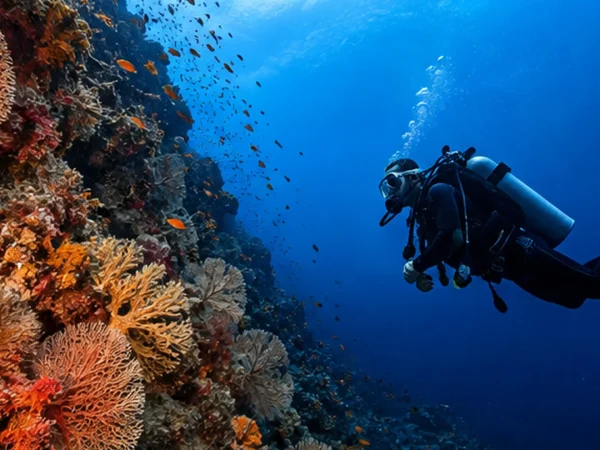 Deep 40 Diver