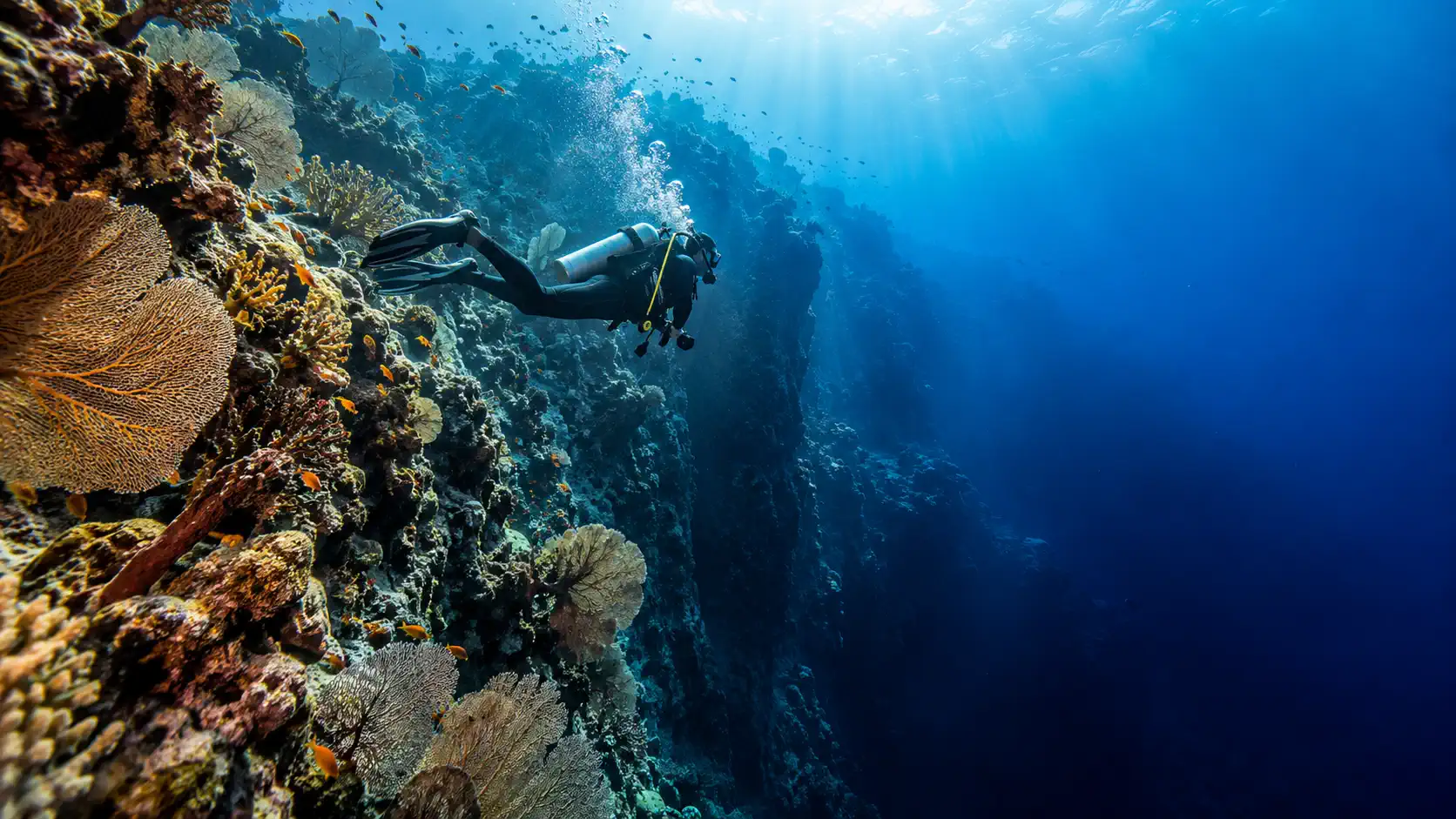 wet spot scuba dauin deep diver 30 1 -Wet Spot Scuba Diving Dauin Philippines