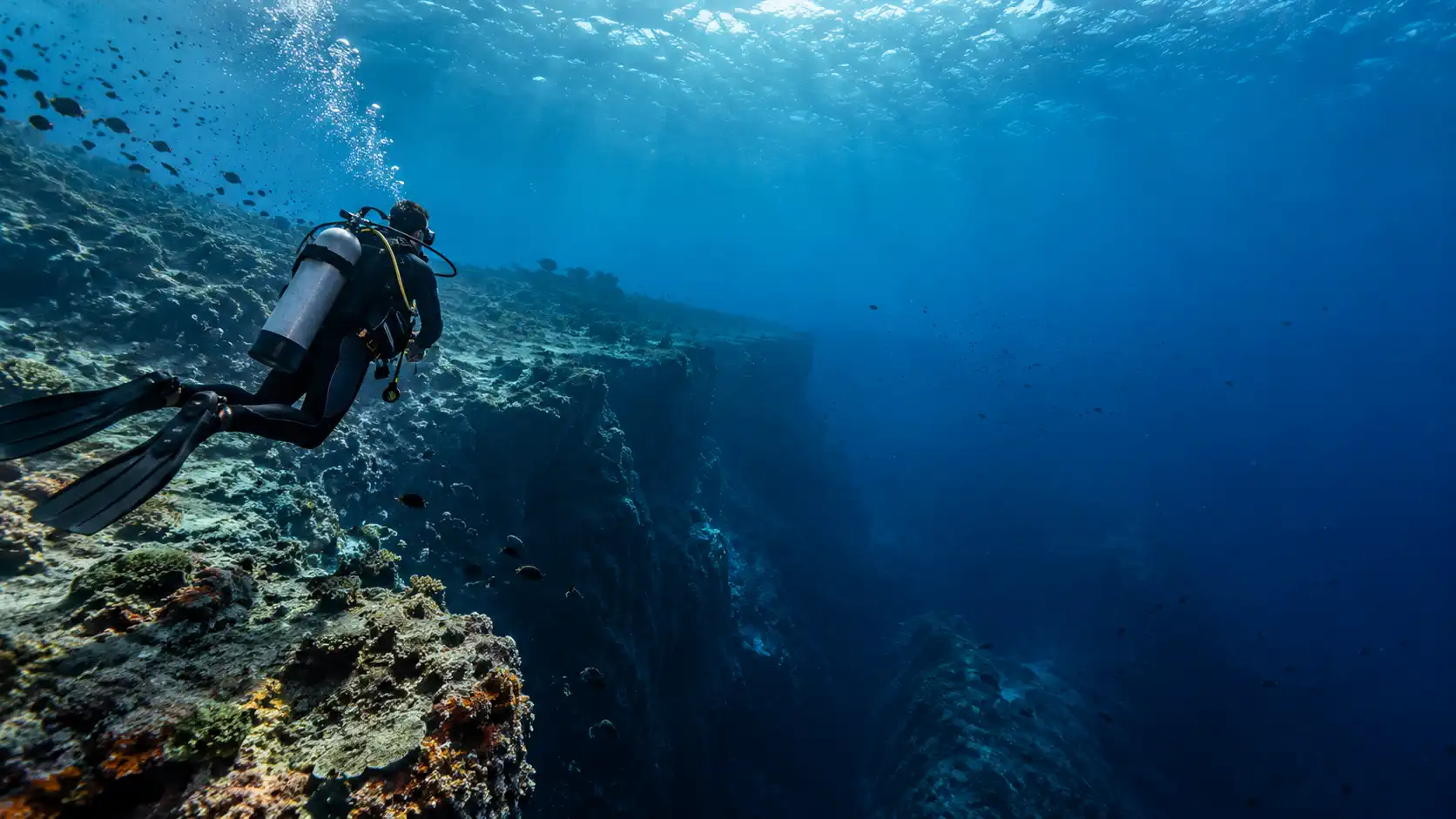wet spot scuba dauin deep diver 30 5 -Wet Spot Scuba Diving Dauin Philippines