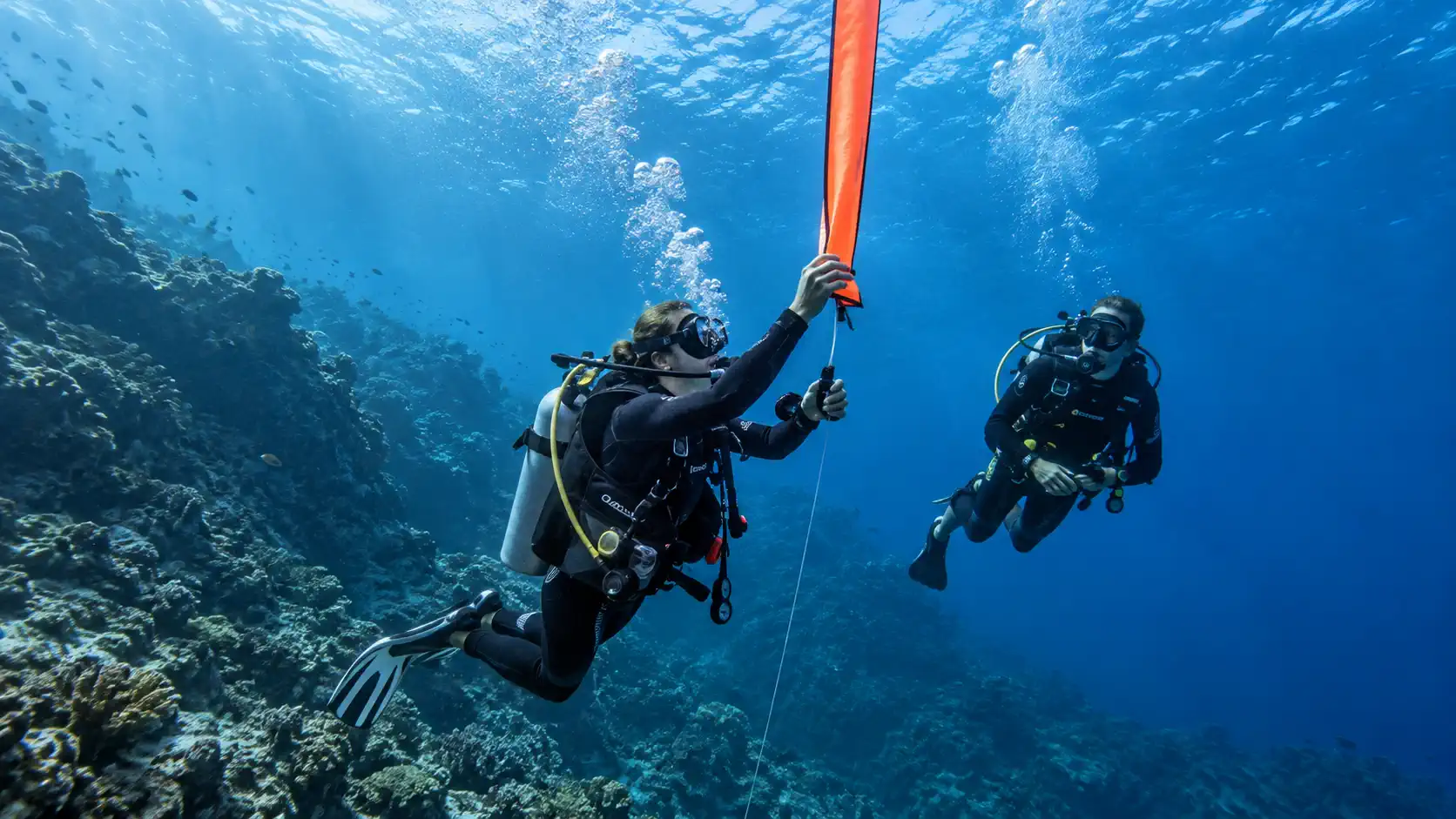 wet spot scuba dauin drift diver 3 -Wet Spot Scuba Diving Dauin Philippines