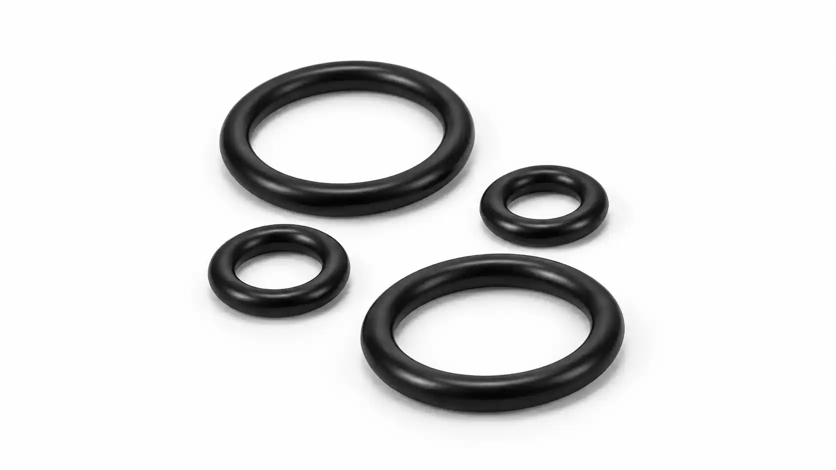 wet spot scuba dauin gear yoke o ring -Wet Spot Scuba Diving Dauin Philippines