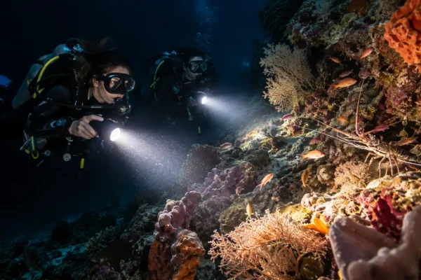 Night & Limited Visibility Diver