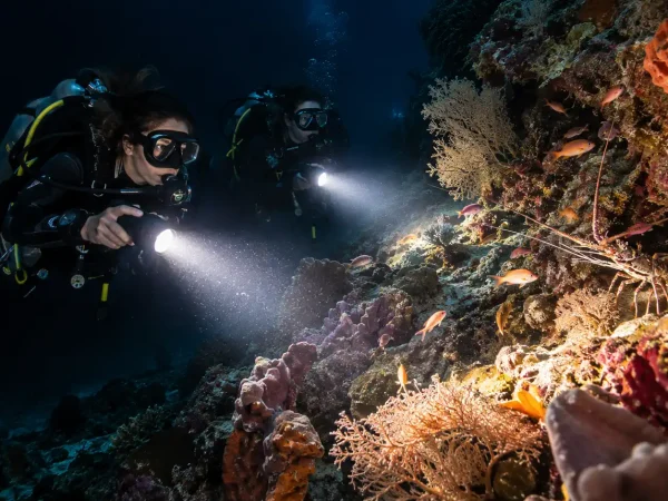 Night & Limited Visibility Diver