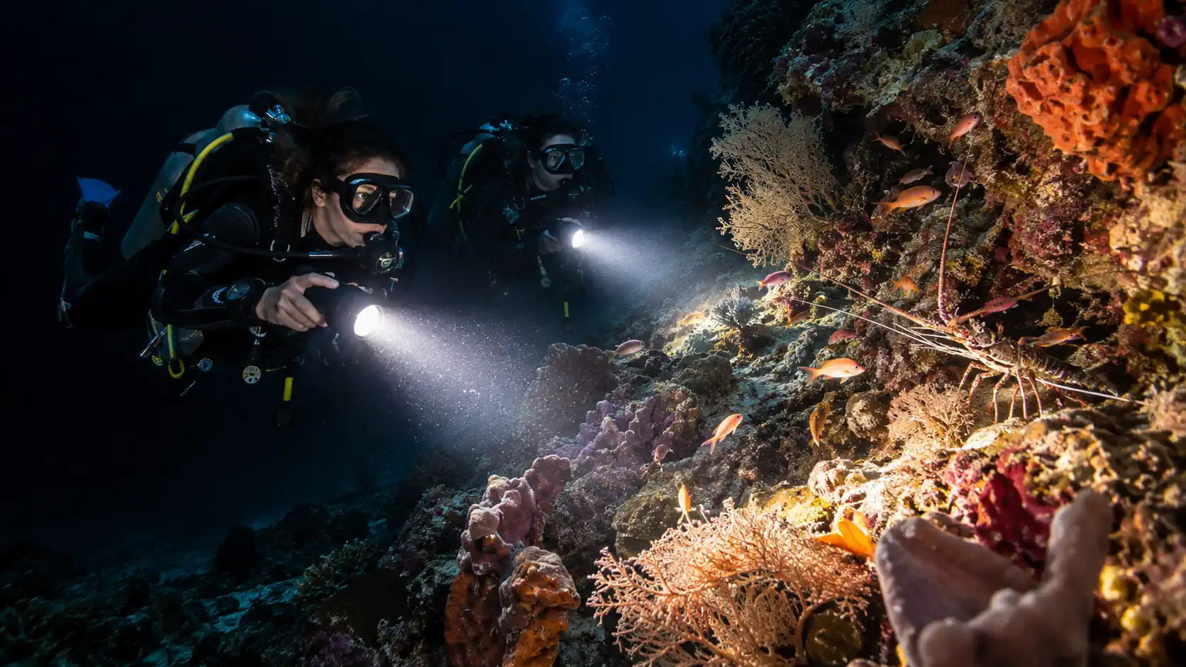 wet spot scuba dauin night diver 2 -Wet Spot Scuba Diving Dauin Philippines