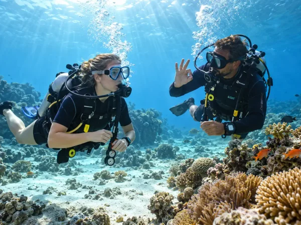 Open Water