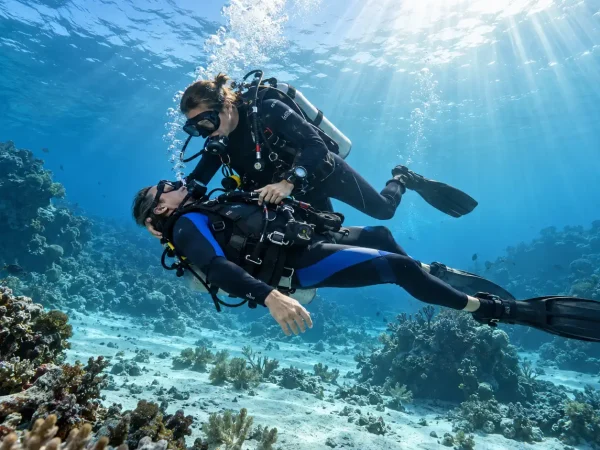 Rescue Diver