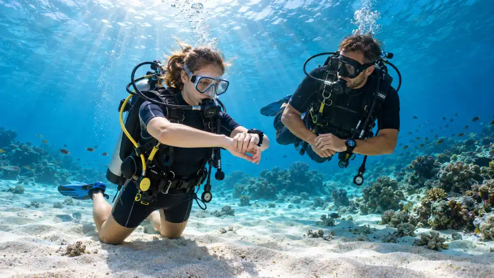 wet spot scuba dauin try diver 5 wet spot scuba dauin try diver 5 -Wet Spot Scuba Diving Dauin Philippines