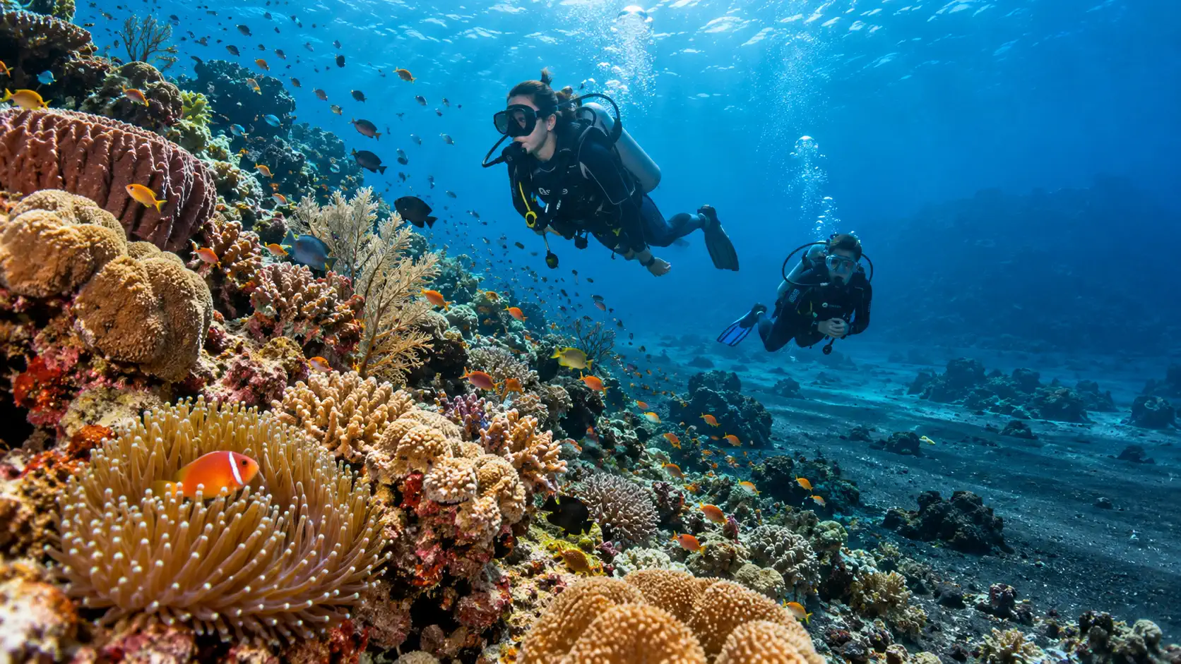 wetspot dving dauin shore dives 2 wetspot dving dauin shore dives 2 -Wet Spot Scuba Diving Dauin Philippines